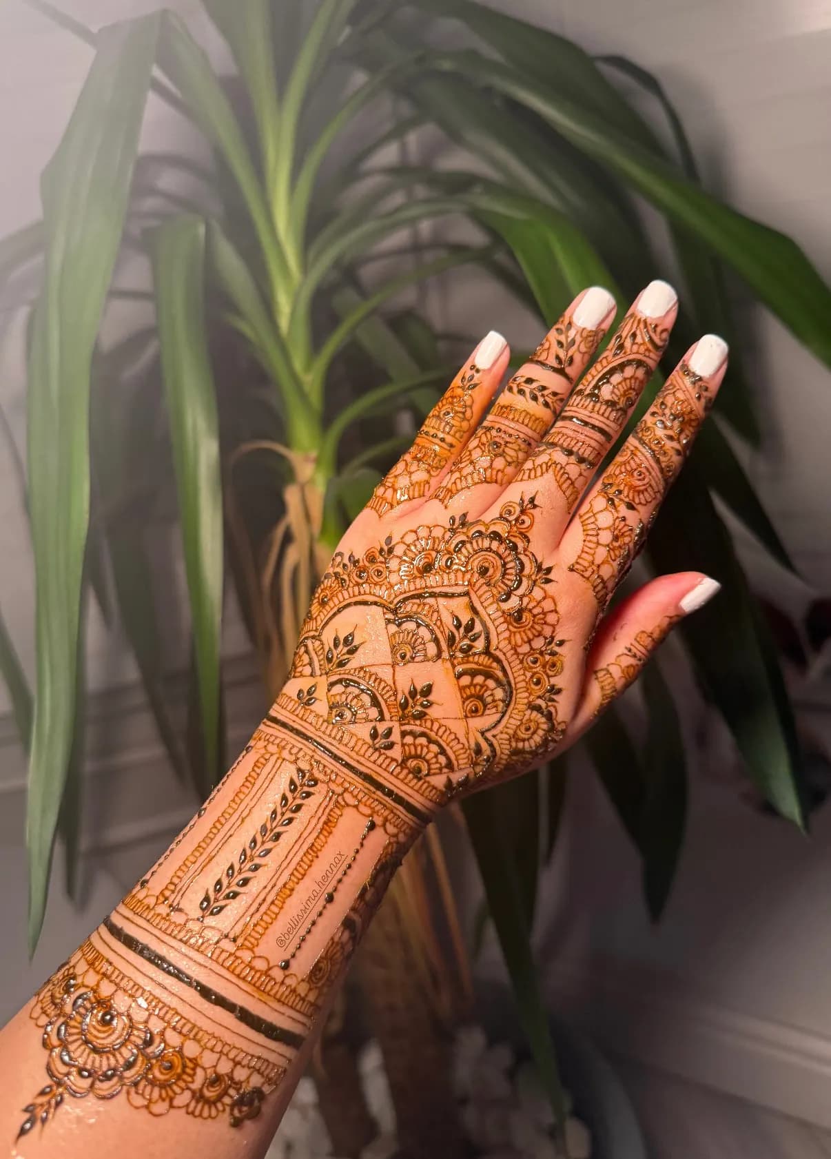 Radiya's portfolio work